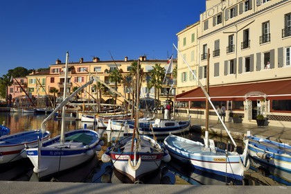 France, Var, Sanary-sur-Mer, traditional fishing boats called pointus in the port