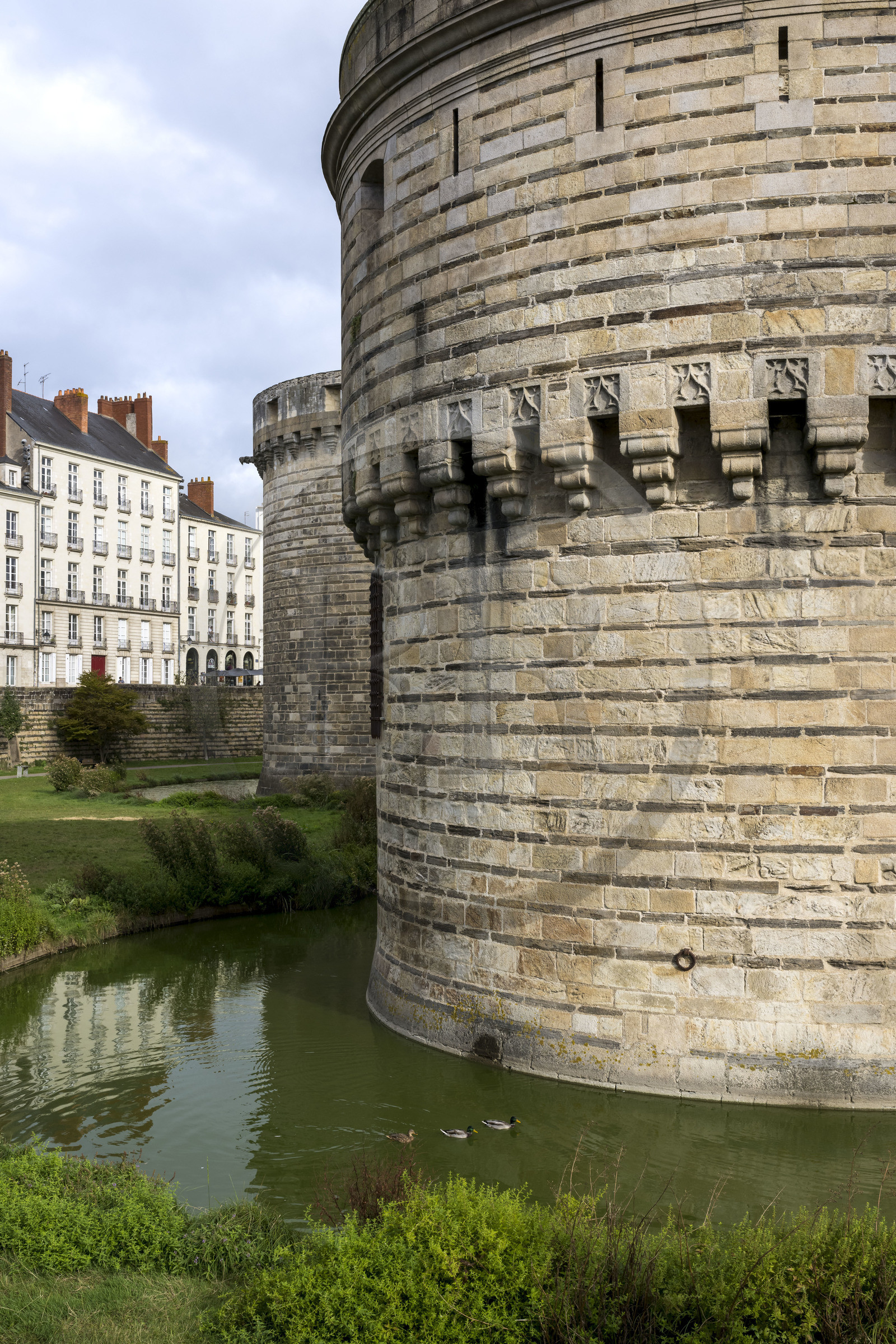 France, Loire Atlantique, Nantes, Bouffay district, the castle of the Dukes of Brittany, tower of the rampart