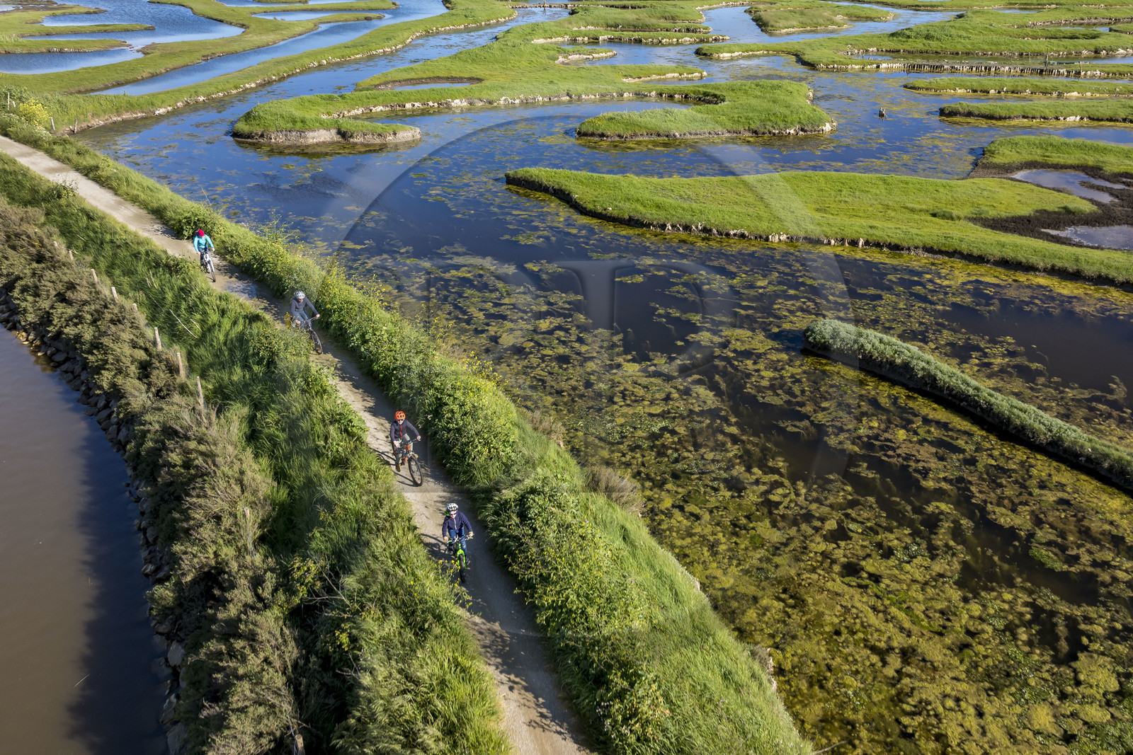 France, Vendée (85), Talmont-Saint-Hilaire, marais de la Guittière dans l'arrière pays de la Pointe du Payré, cycliste sur la piste de la véloroute Vendée Vélo Tour et Vélodyssée au passage du Cul d’Ane, marais aménagés pour la pisciculture de dorades, mulets et anguilles (vue aérienne)