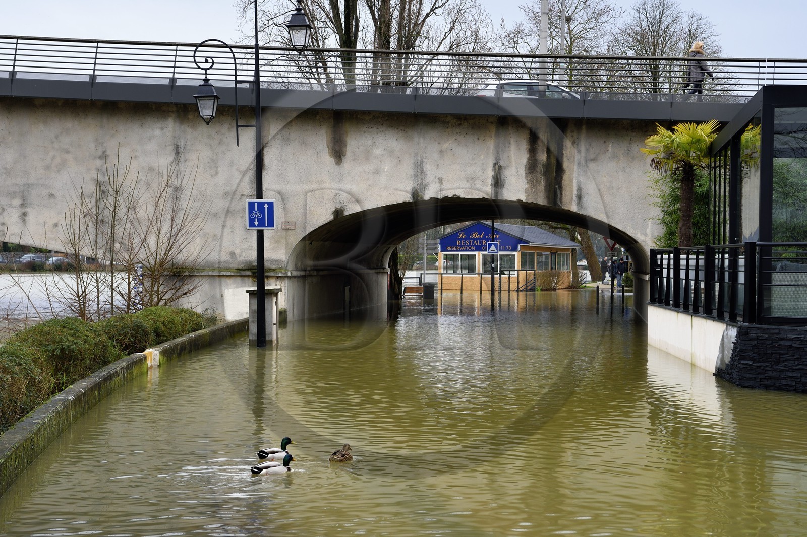 France, Val-de-Marne (94), Le Perreux-sur-Marne, les bords de Marne inondés au pont de Bry