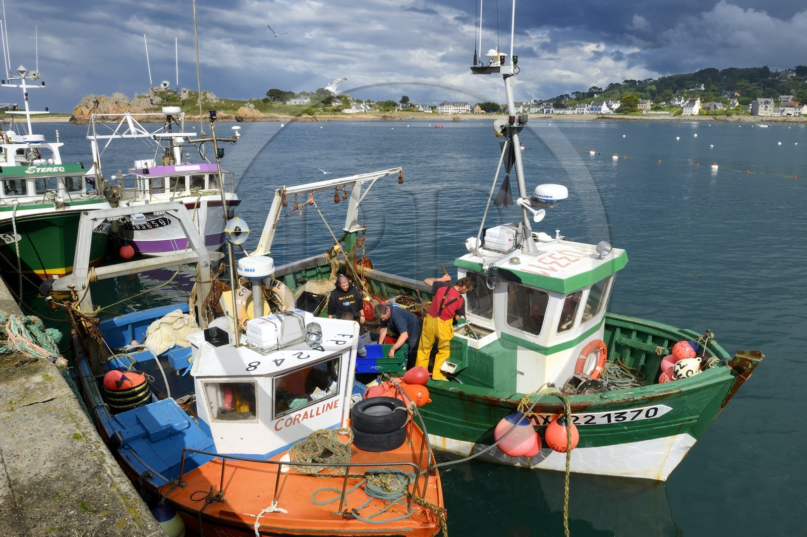 France, Finistère (29), Plougasnou, retour de pêche des chalutiers au port du Diben