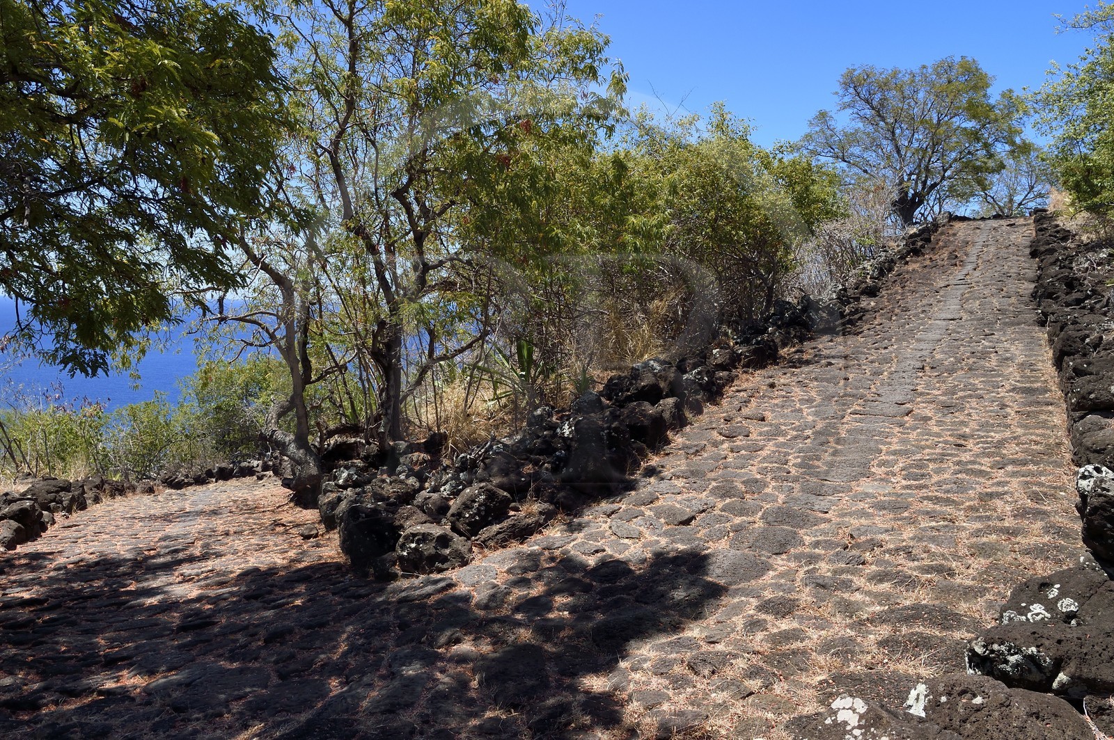 France, Ile de la Reunion, La Possession, le chemin Crémont aussi appelé chemin des Anglais, ancienne route pavé de basalte depuis 1775 qui longe le bord de la falaise de la cote nord-ouest devenu sentier de randonnée