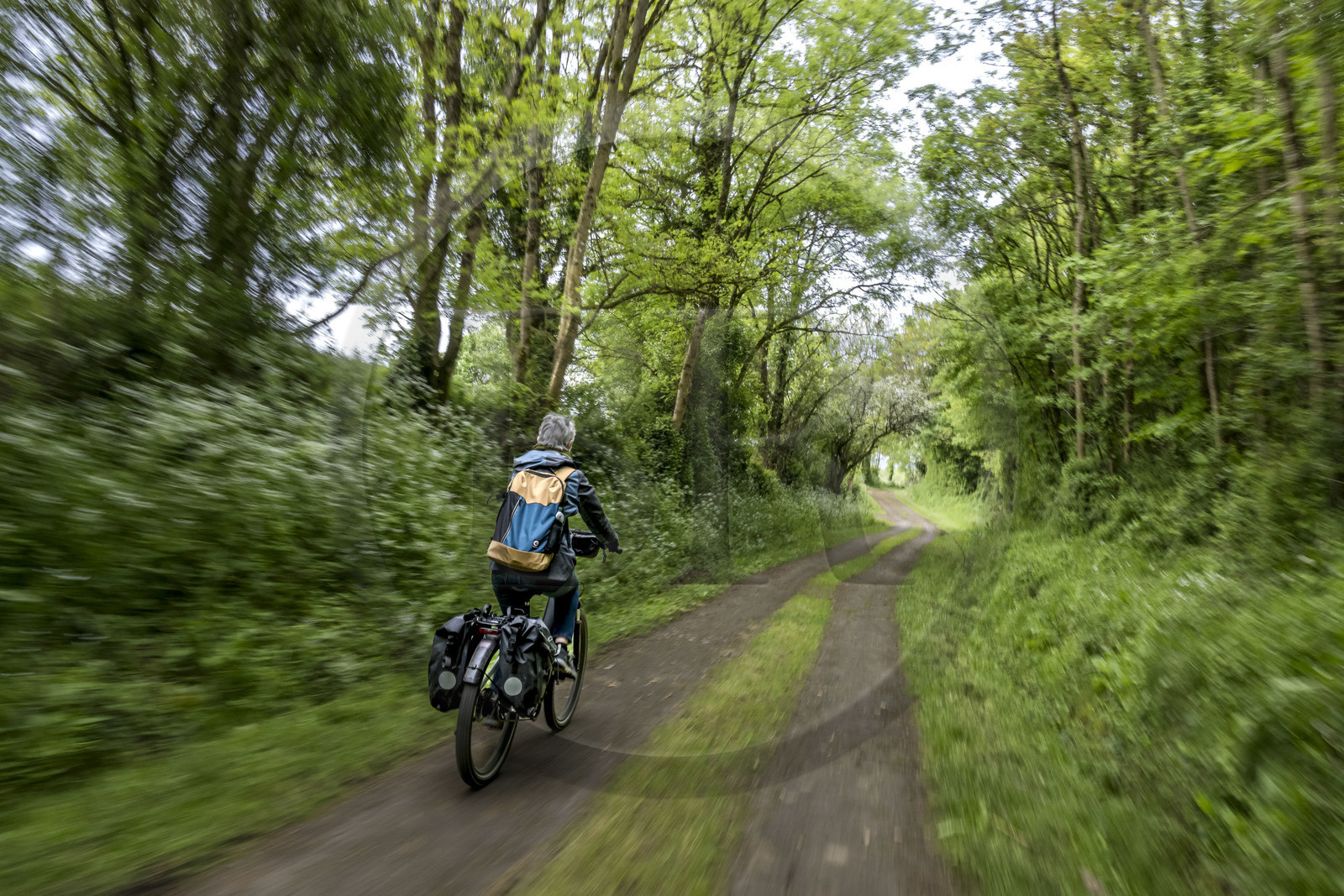 France, Vendée (85), Saint-Michel-le-Cloucq, cycliste sur la piste de la véloroute Vendée Vélo Tour