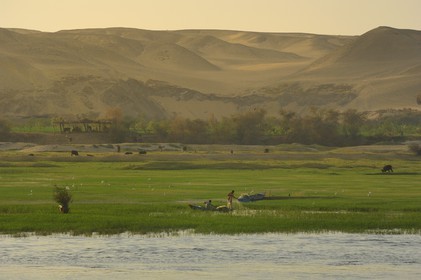 Egypt, Upper Egypt, Nile Valley, fishing barque on the Nile river between Edfou and Kom Ombo