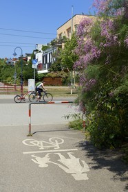 Allemagne, Bade-Wurtemberg, Fribourg en Brisgau, quartier écologique Vauban, la plupart de ses habitants vivent sans voiture