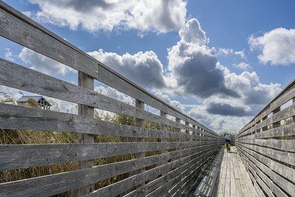 France, Loire-Atlantique (44), Lavau-sur-Loire, collection d'art contemporain à ciel ouvert Estuaire, l’Observatoire réalisé par l'artiste Tadashi Kawamata