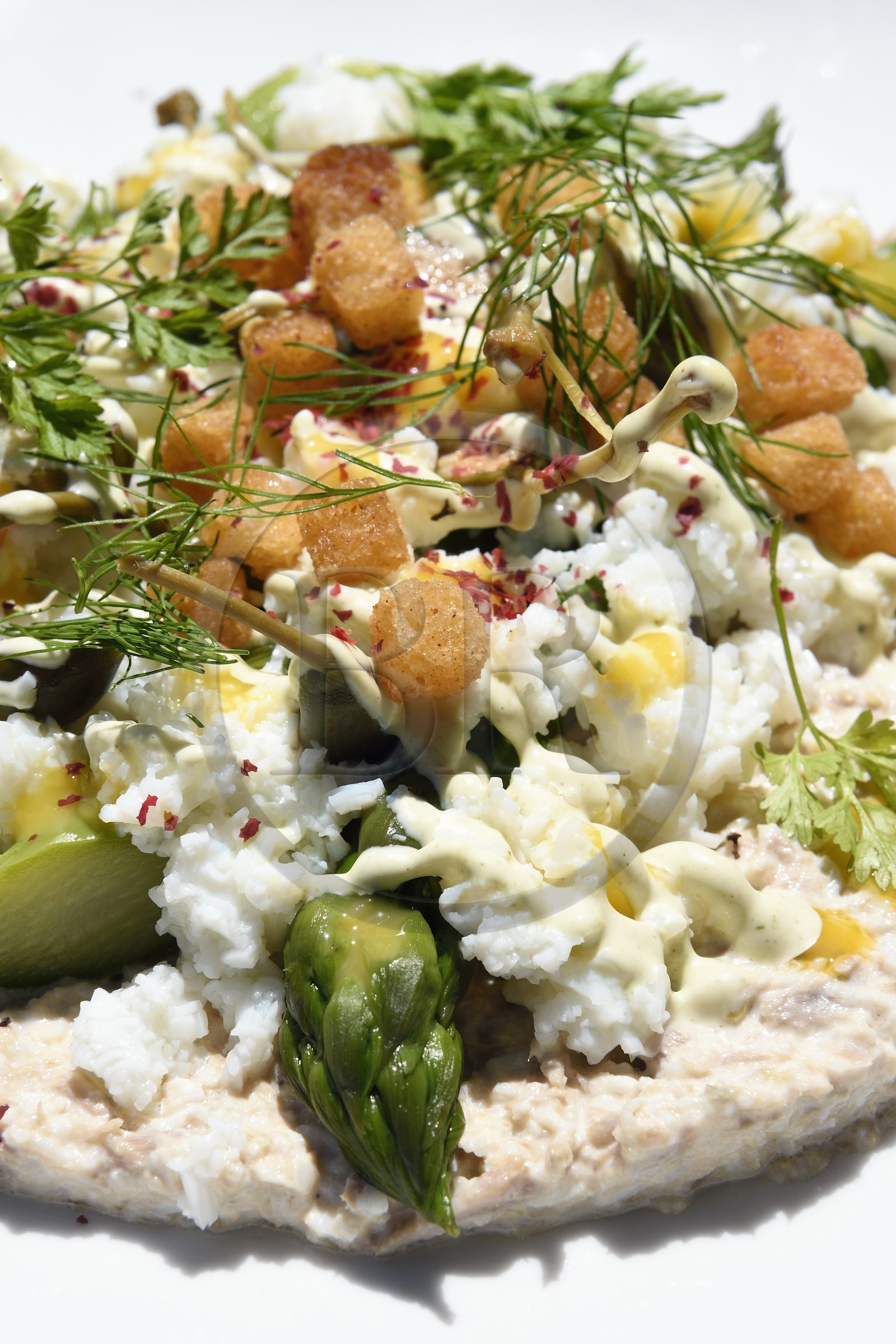 France, Alpes Maritimes (06), Saint-Jean-Cap-Ferrat, Grand-Hotel du Cap-Ferrat, palace 5 étoiles du groupe Four Seasons Hotel, Salade d'Asperges Vertes au Thon Mimosa