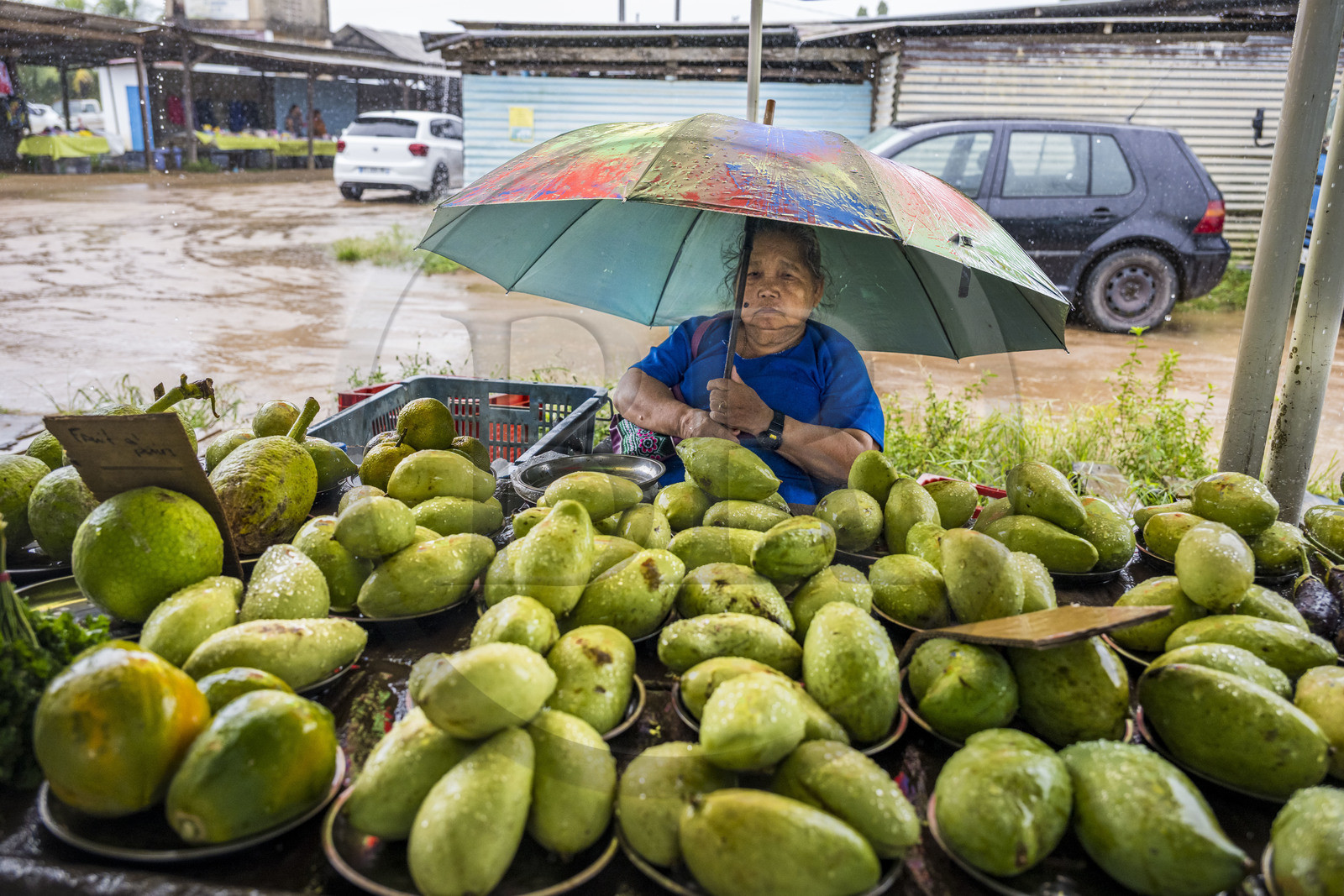 France, Guyane, Javouhey, marché du dimanche Hmong, réfugiés du Laos arrivés en 1978 qui se sont spécialisés dans la culture fruitière, étal de mangues