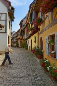 France, Haut Rhin, Eguisheim, labelled Les Plus Beaux Villages de France (The Most Beautiful Villages of France), traditional half-timbered houses in the South Rampart Street