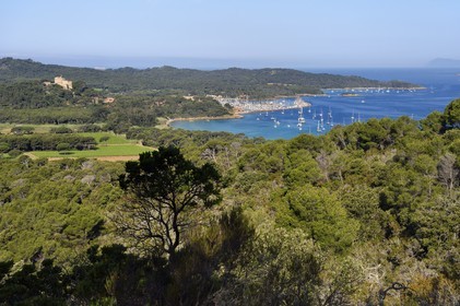 France, Var (83), Iles d'Hyères, parc national de Port Cros, Ile de Porquerolles, les vignes de la plaine de la Courtade et le port dominés par le Fort Sainte Agathe