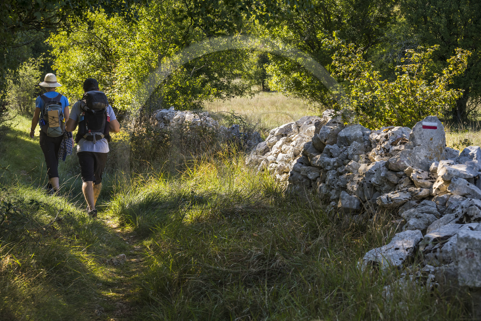 France, Hérault (34), les Causses et les Cévennes, paysage culturel de l'agro-pastoralisme méditerranéen inscrit au Patrimoine Mondial de l'UNESCO, Saint-Maurice-Navacelles, randonneurs sur le GR 7 sur des sentiers longeant des murs de pierres sèches