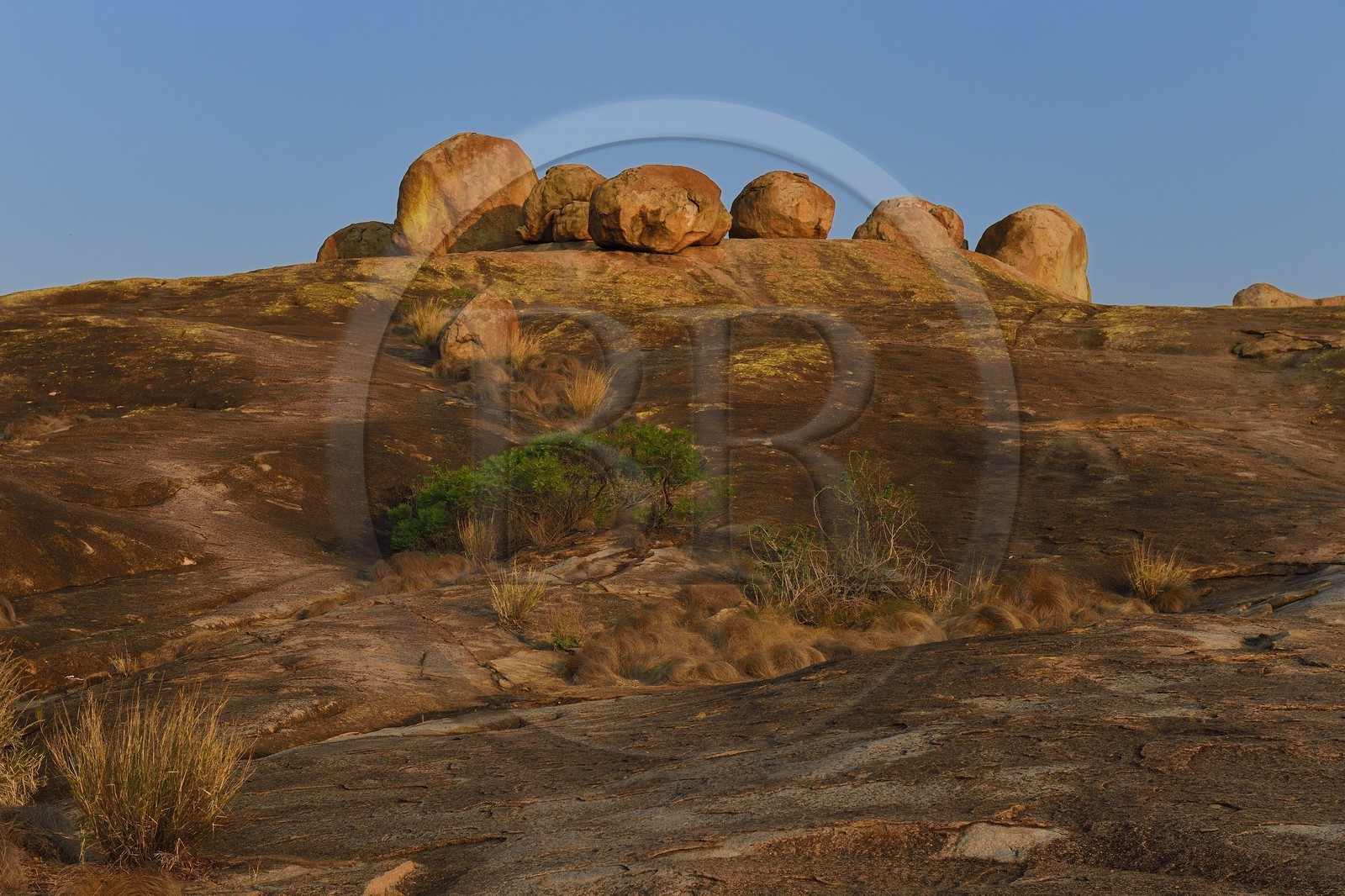 Zimbabwe, province de Matabeleland méridional, Matobo ou Matopos Hills National Park, classé Patrimoine Mondial de l'UNESCO, formations rocheuses sur la colline de Malindidzimu (demeure des esprits bienveillants) au sommet de View of the World où est enterré Cecil Rhodes