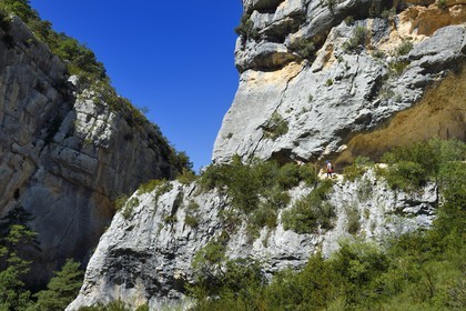 France, Alpes-de-Haute-Provence (04), Parc Naturel Régional du Verdon, les Gorges du Verdon en contrebas du village de Rougon et du Point Sublime
