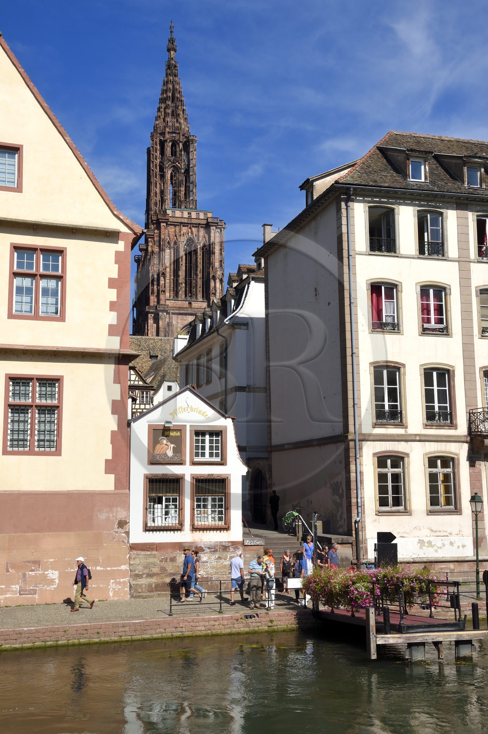 France, Bas-Rhin (67), Strasbourg, les bords de l'ill au bout de l'impasse de la Grande Boucherie, la winstub le Pfifferbriader et la cathédrale Notre-Dame en arrière plan
