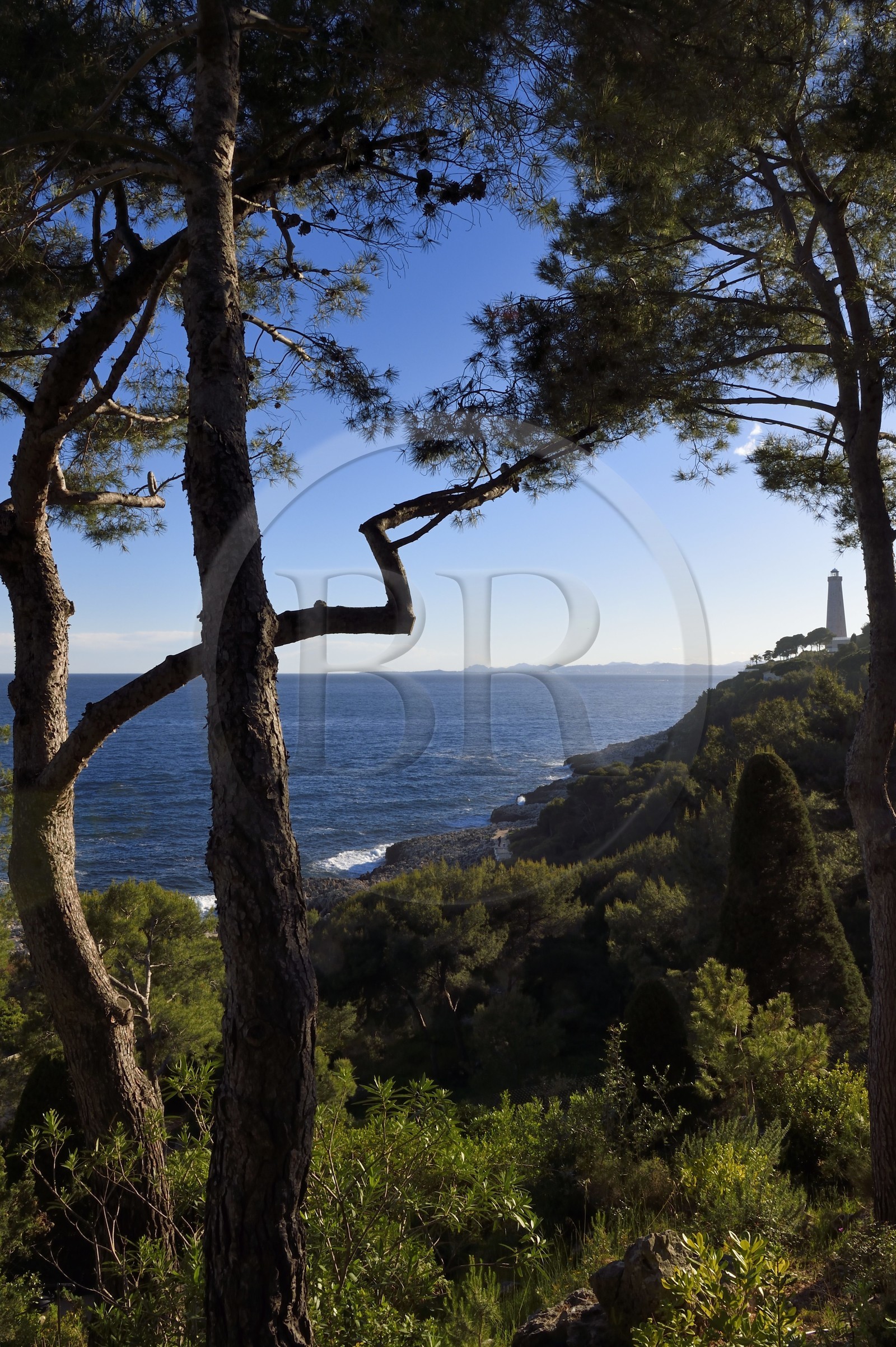 France, Alpes Maritimes (06), Saint-Jean-Cap-Ferrat, le phare du Cap-Ferrat depuis les jardins du Grand-Hotel du Cap-Ferrat, palace 5 étoiles du groupe Four Seasons Hotel
