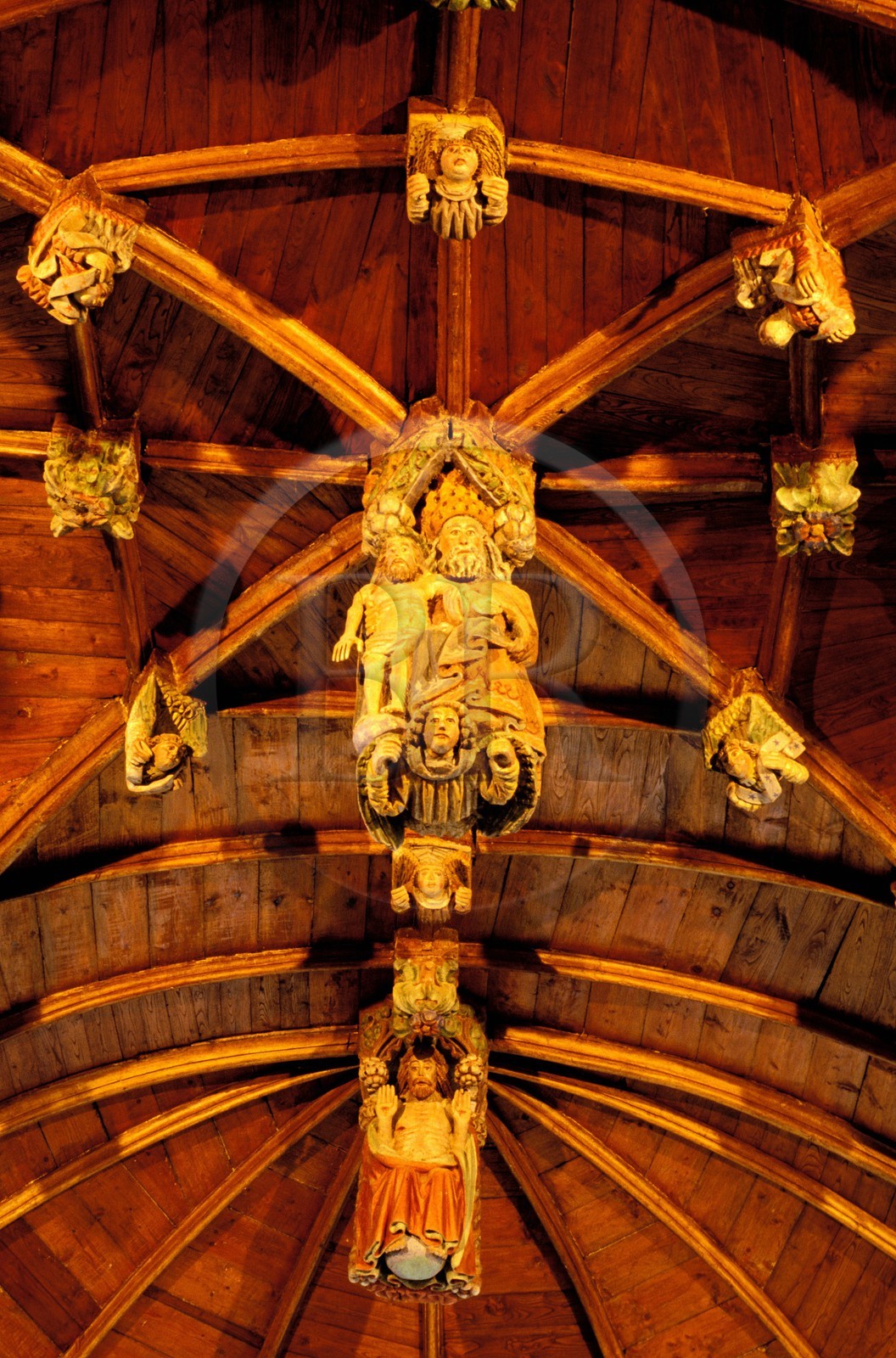 France, Côtes-d'Armor (22), église de Loc-Envel, sablières décorant la voûte (16ème siècle)