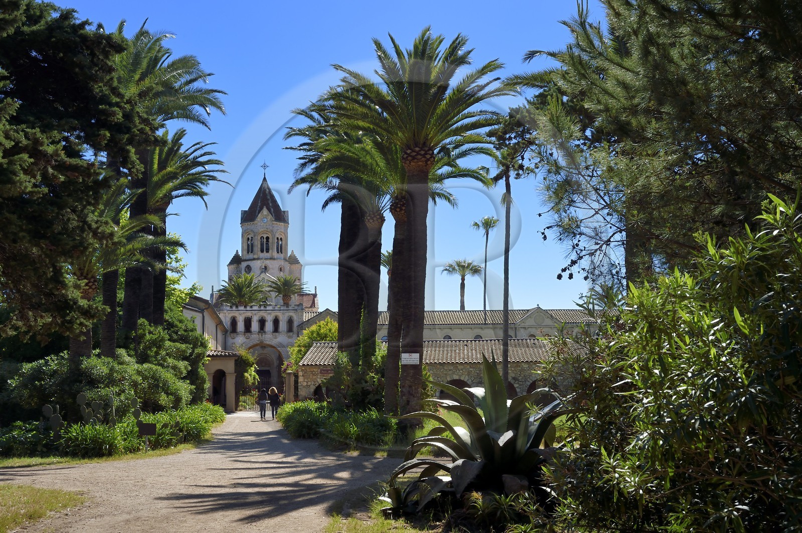 France, Alpes-Maritimes (06), Cannes, Iles de Lérins, Ile de Saint-Honorat, Abbaye de Lérins, l'église abbatiale et le monastère