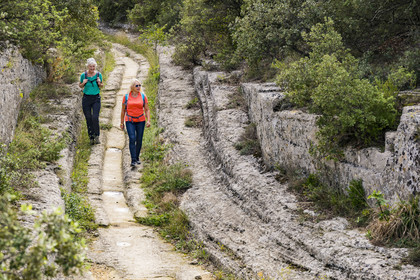 France, Gard (30), Vers-Pont-du-Gard, carrières de pierre sur le tracé de l'aqueduc romain de Nimes, profondes ornières laissées dans la roche du chemin par les roues des chariots qui y ont circulés depuis l'époque romaine
