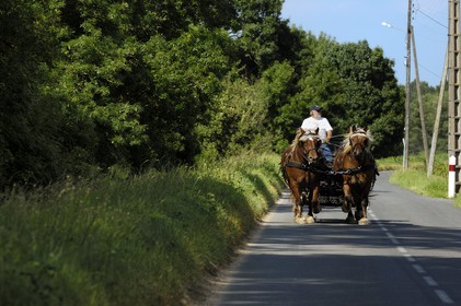 France, Indre et Loire, Loire Valley listed as World Heritage by UNESCO, Brehemont