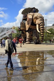 France, Loire-Atlantique, Nantes, Les Machines de l'Ile, an artistic project created by François Delaroziere and Pierre Orefice, the Big Elephant and the hangars of the former shipyards in the background