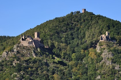 France, Haut Rhin, the Alsace Wine Route, Ribeauville, the Saint-Ulrich castle on the left, the Girsberg castle on the right and the tower of the Haut-Ribeaupierre (or Altenkastel) castle in height