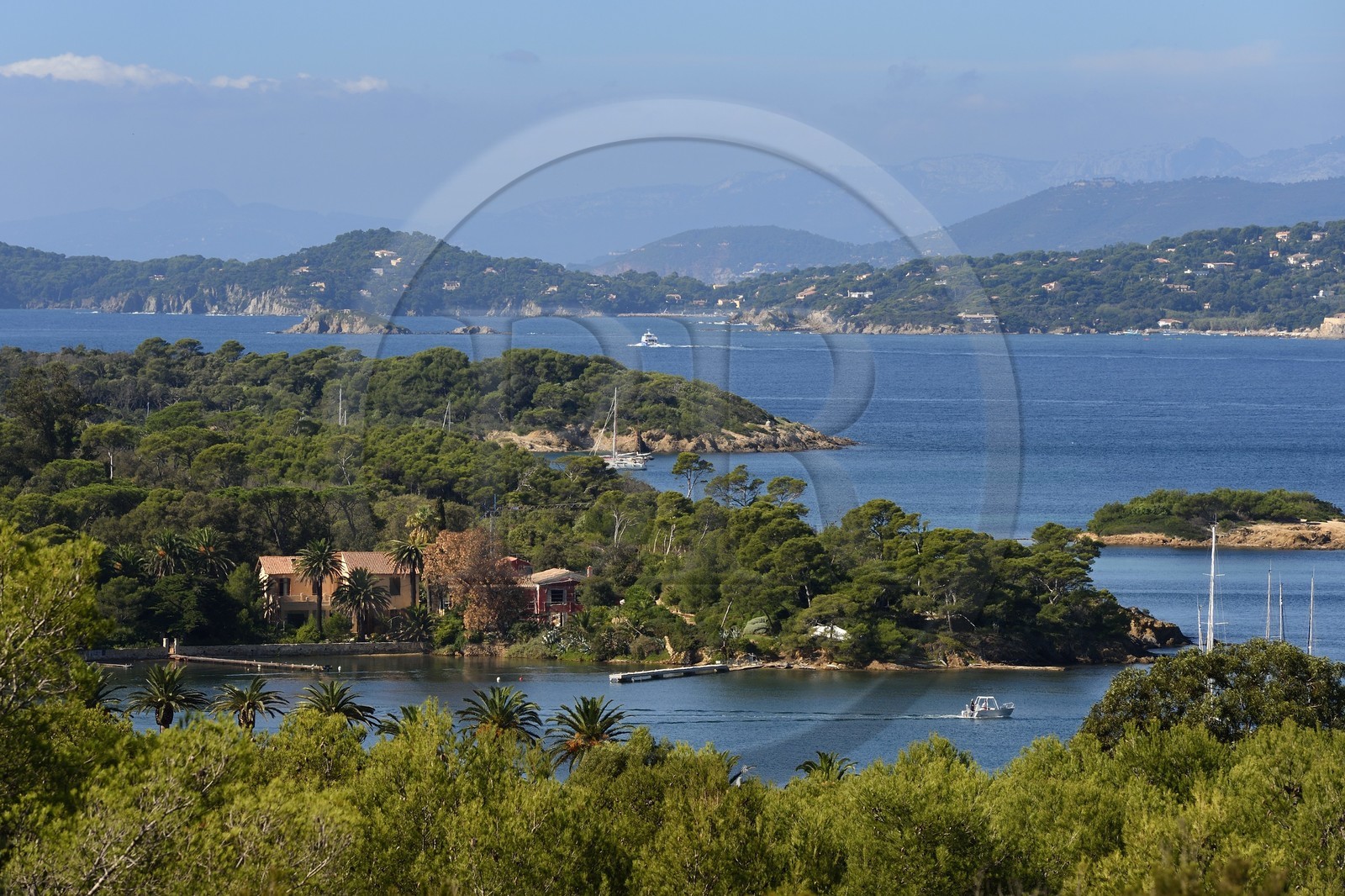 France, Var (83), Iles d'Hyères, parc national de Port Cros, Ile de Porquerolles, la côte Nord vers l'Anse du Bon Renaud et la presqu'Ile de Giens en arrière plan