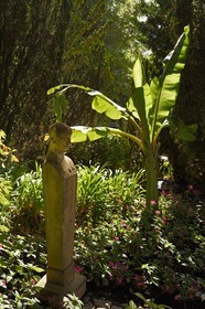 France, Alpes-Maritimes, Cannes, the villa Domergue gardens