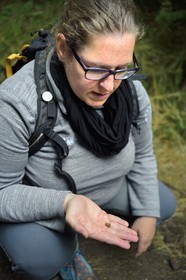 France, Puy de Dome, Aydat, towards the pond of Chateau de Montlosier, Catline Lajoie nature warden at the Parc Naturel Régional des Volcans d'Auvergne (regional nature park of Auvergne volcanoes)