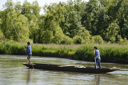 France, Bas-Rhin (67), région d'Ebersmunster et Muttersholtz, le Grand Ried, le batelier Patrick Unterstock dans une barque à fond plat en bois sur la rivière l'Ill