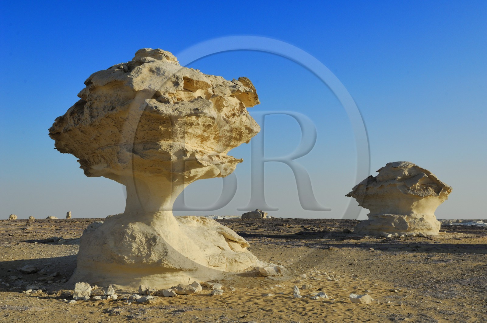 Egypte, désert libyque, le Désert Blanc au nord de Farafra