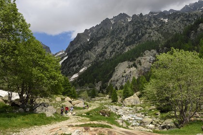 France, Alpes-Maritimes, parc national du Mercantour ( Mercantour national park), Haute-Vesubie, trek in the Gordolasque valley