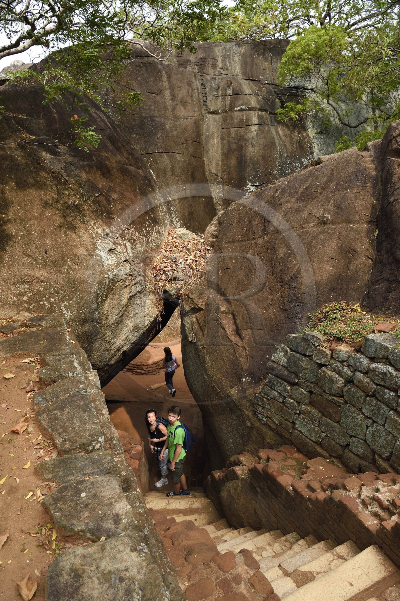 Sri Lanka, province centrale, district de Matale, Sigiriya, ville ancienne de Sigiriya classée patrimoine mondial de l'UNESCO, l'ancien palais forteresse du Rocher du Lion