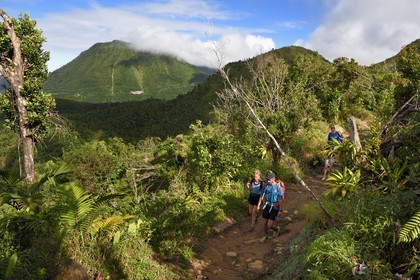 Caribbean, Dominica Island, Castle Bruce, Morne Trois Pitons National Park listed as World heritage by UNESCO, hikers on the trail leading through the rainforest to the Desolation Valley and then to Boiling Lake