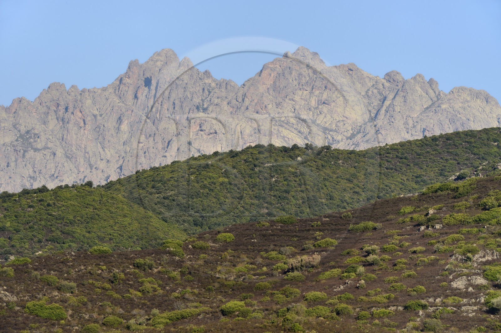 France, Haute-Corse (2B), région du Niolu (Niolo), le Monte Cinto