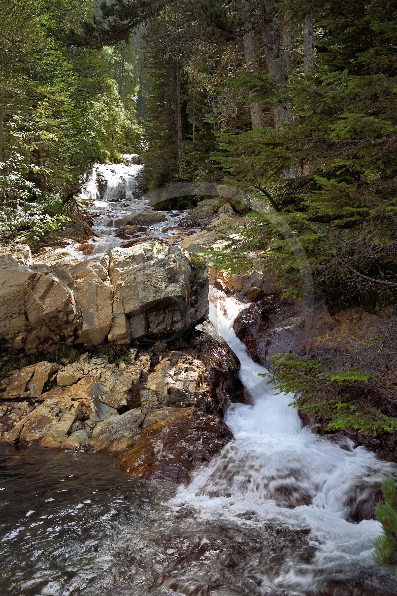 France, Hautes Pyrenees, Saint Lary Soulan, Rioumajou valley, the river Neste de Rioumajou