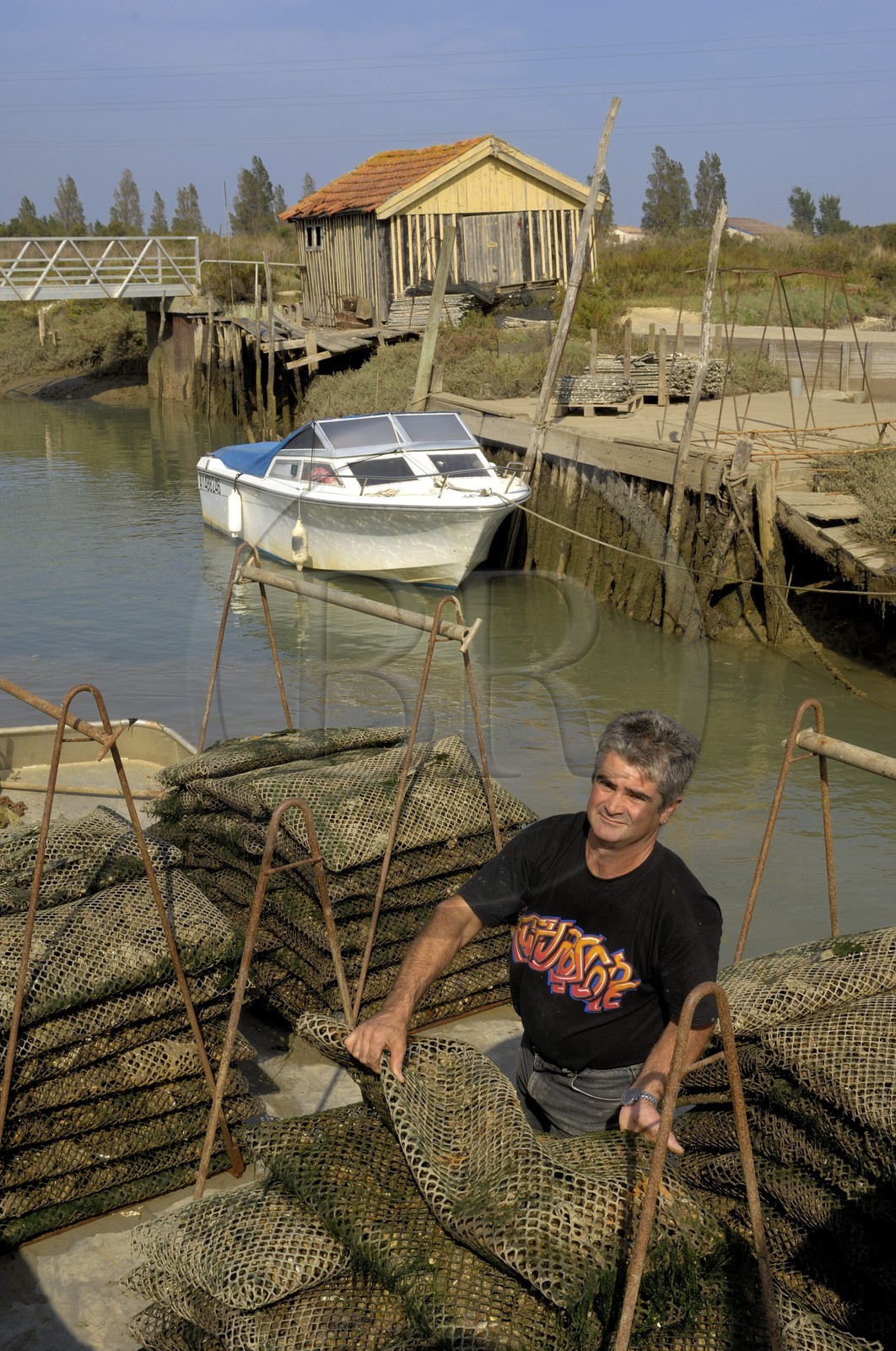 France, Charente-Maritime (17), Ile d'Oléron, le chenal d'Ors, port ostréicole, l'ostéiculteur Christophe Paulais
