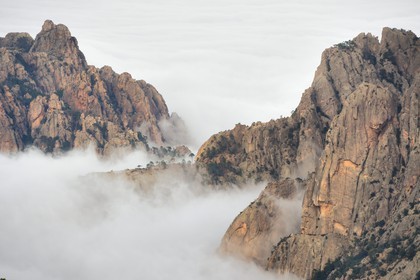 France, Corse du Sud, Alta Rocca, summits of the mountains east of the Bavella pass (Col de Bavella) emerging of clouds