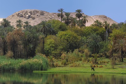 Egypt, Upper Egypt, Nile Valley, the Nile river between Kom Ombo and Aswan