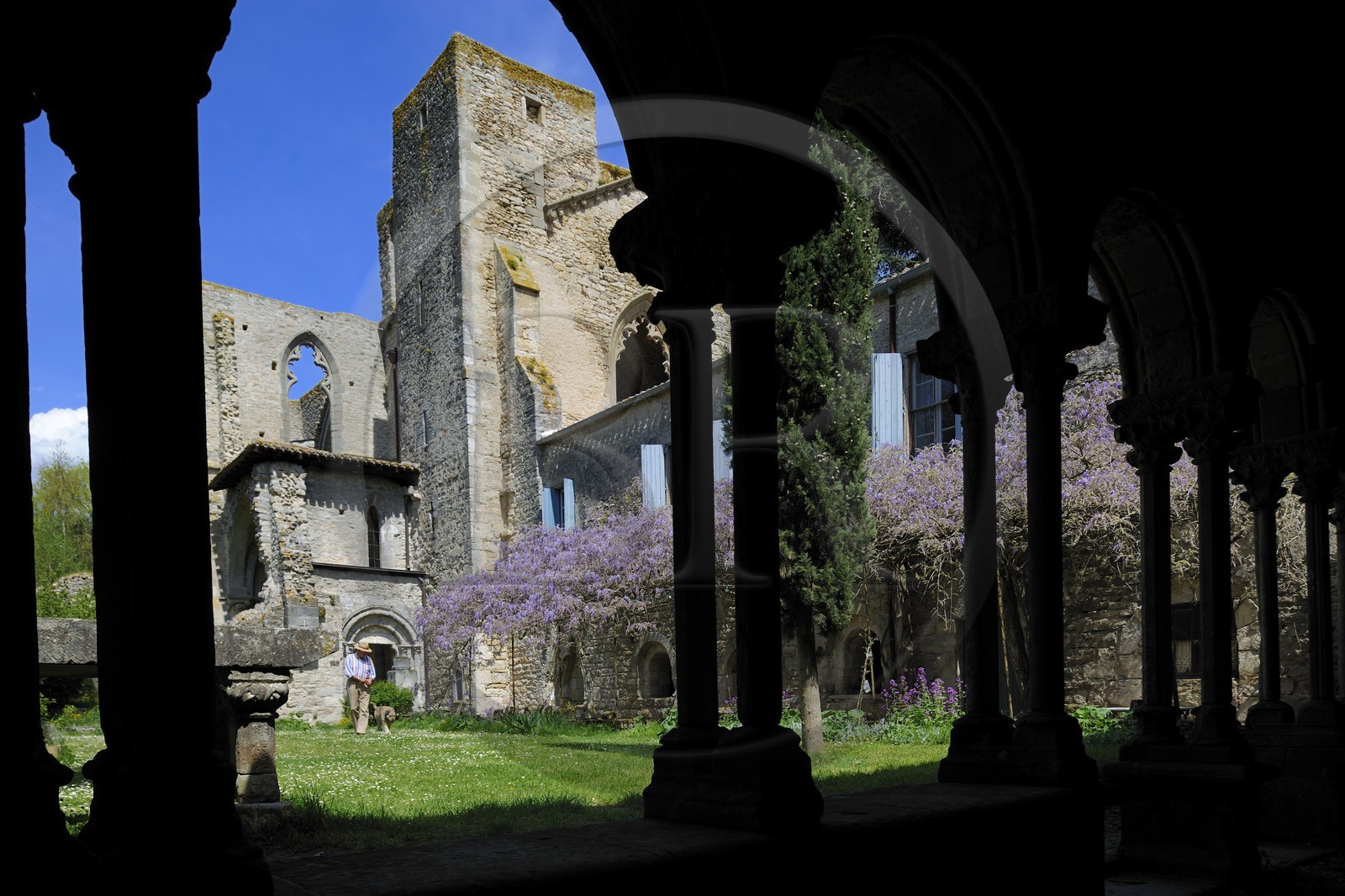 France, Aude (11), Saint-Martin-le-Vieil, ancienne abbaye cistercienne de Villelongue et chambre d'hôte, l'ancienne abbatiale depuis le cloître