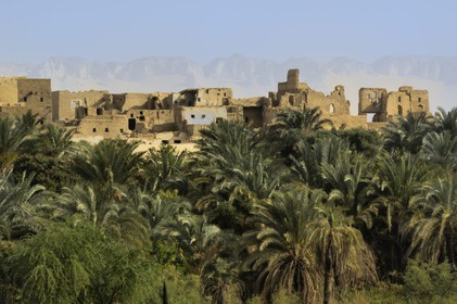 Egypte, Haute Egypte, désert libyque, oasis de Dakhla, vieux village de Al-Qasr