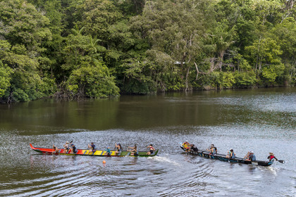 France, French Guiana, Kourou, Camp Maripas, race of two P12 pirogue (traditional Guyanese pirogue adapted in resin) on the Kourou River (aerial view)