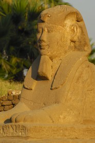 Egypte, Haute Egypte, vallée du Nil, temple de Louxor classé Patrimoine Mondial de l'UNESCO, le Dromos