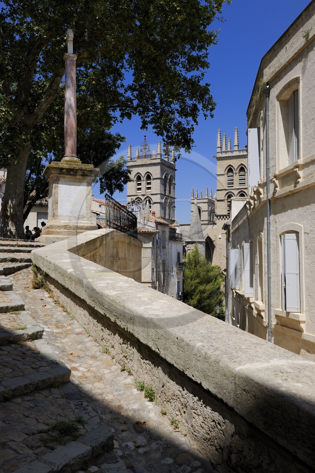 France, Hérault (34), Montpellier, centre historique, l'Ecusson, la place du Canourgue et la cathédrale Saint Pierre à l'arrière