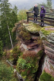 France, Bas-Rhin (67), Parc Naturel régional des Vosges du Nord, La Petite Pierre, randonneurs sur le sentier des Trois Roches au Rocher du Saut du Chien