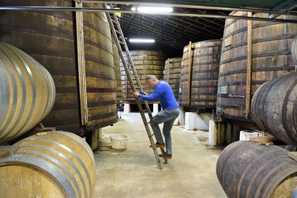 France, Charente (16), Sireuil, Distillerie des Moisans, dans les chais de vieillissement et d'assemblages,