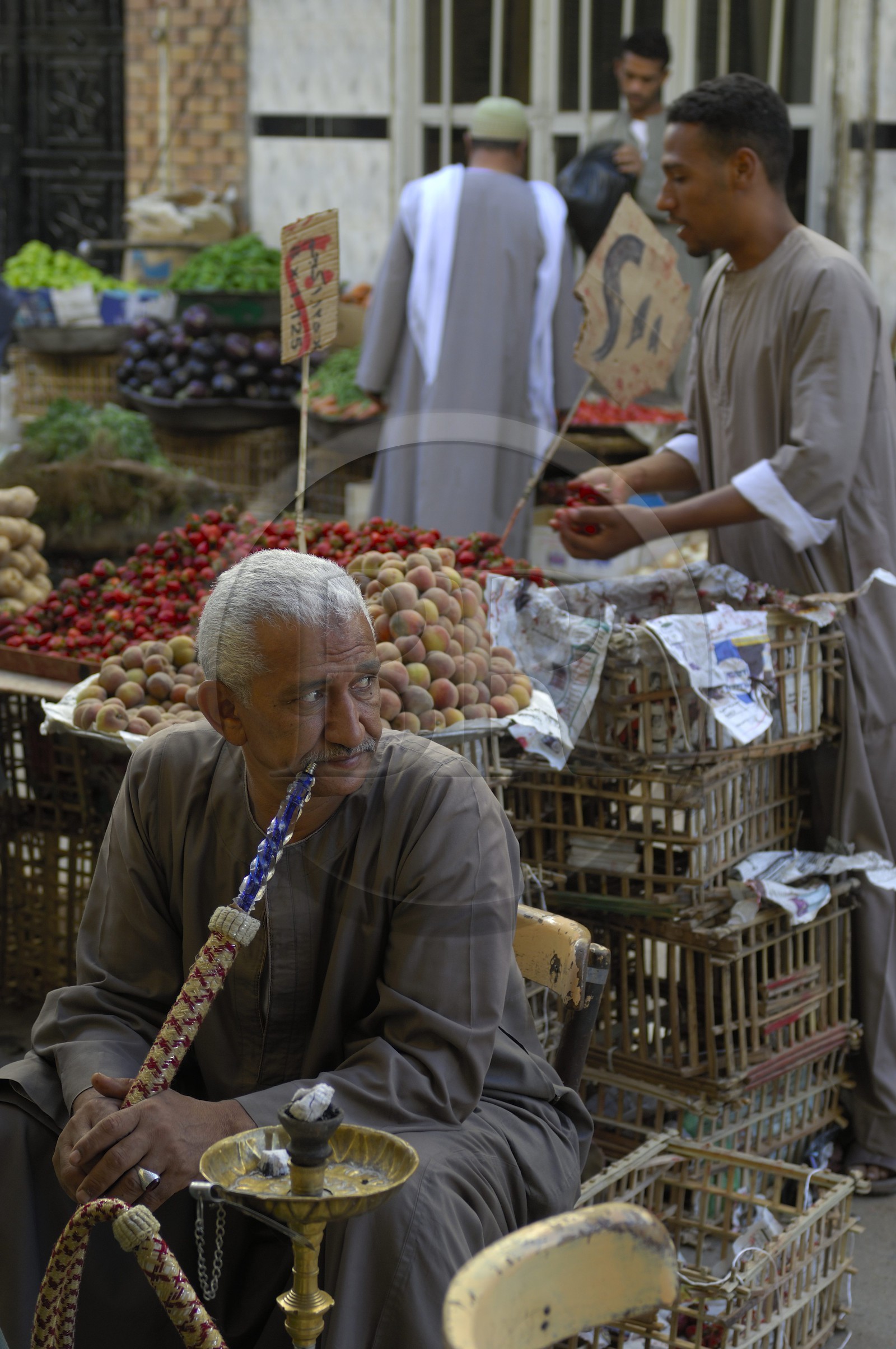Egypte, Haute Egypte, Nubie, vallée du Nil, Assouan, le souk, fumeur de narguilé