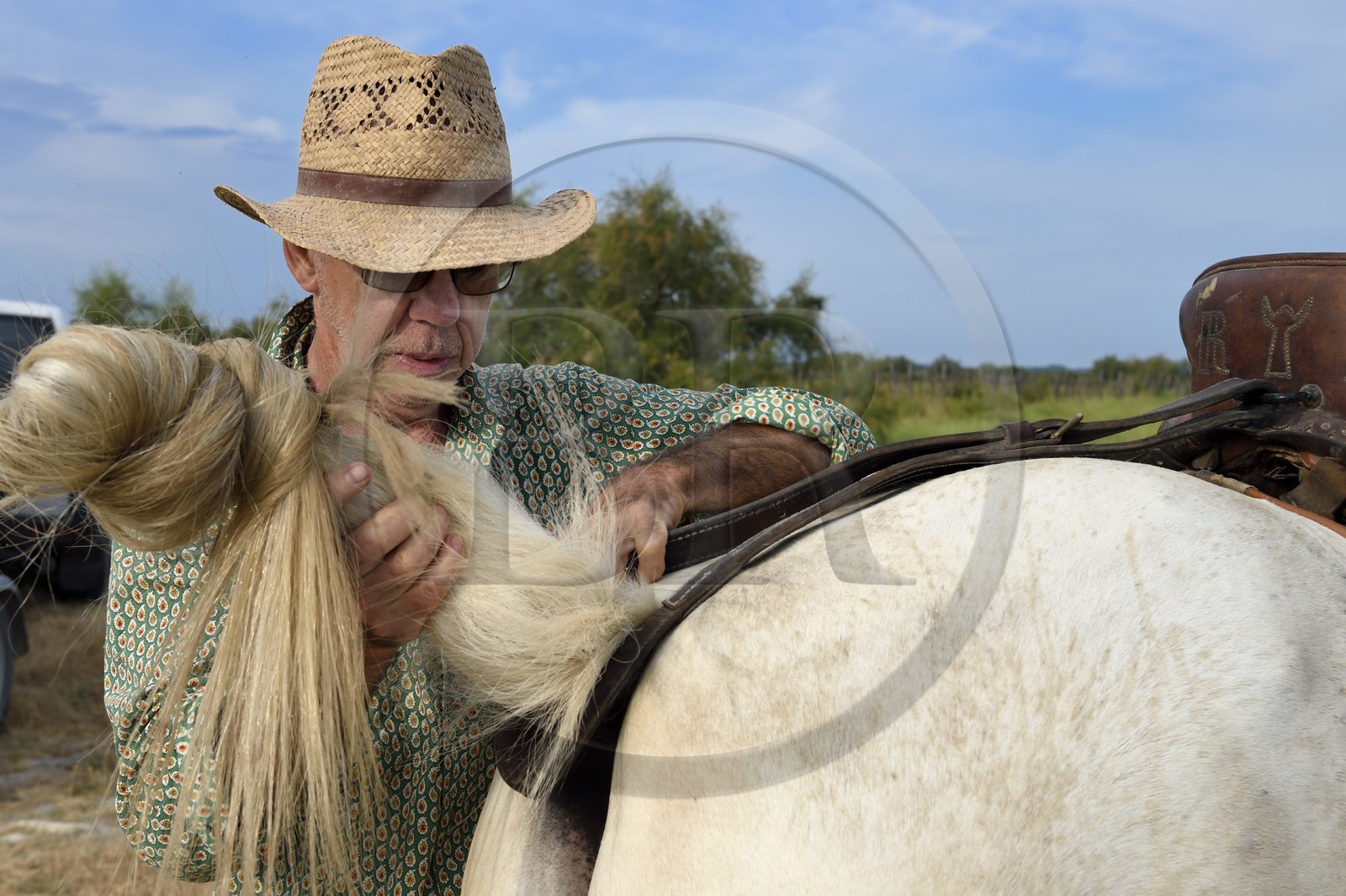 France, Bouches-du-Rhône (13), Parc naturel régional de Camargue, manade Jacques Mailhan, le gardian Jean Marie Londez harnachant son cheval France, Bouches-du-Rhône (13), Parc naturel régional de Camargue, manade Jacques Mailhan, le gardian Jean Marie Londez harnachant son cheval