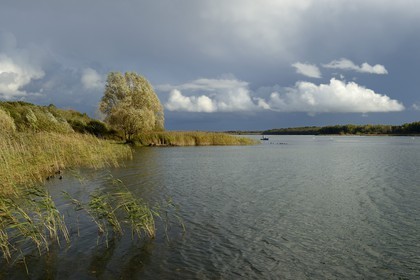 France, Meuse, Lorraine Regional Park, Cotes de Meuse, Heudicourt-sous-les-Cotes, fishermen on Lake Madine