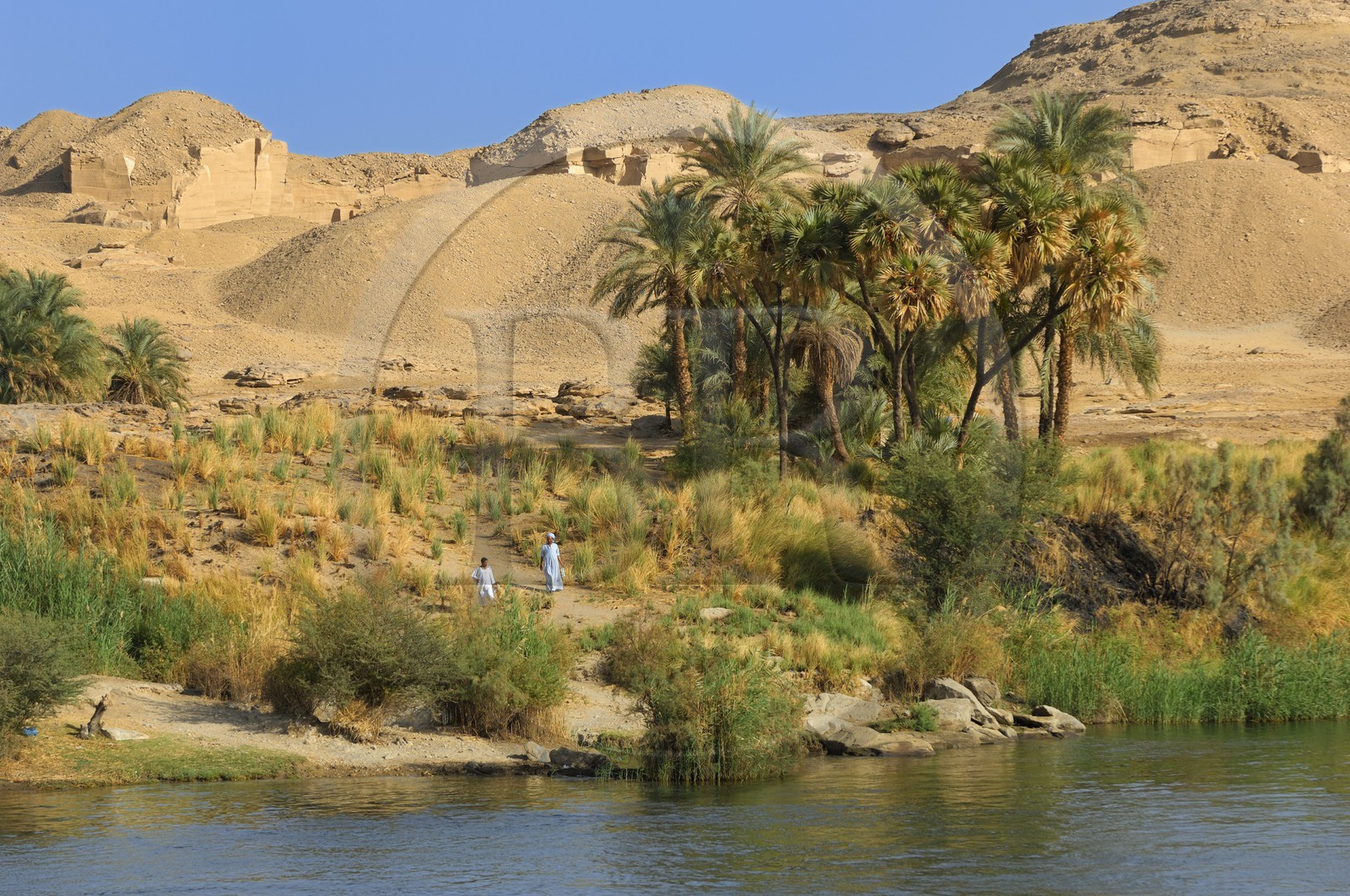 Egypte, Haute Egypte, vallée du Nil, le Nil entre Edfou et Kom Ombo