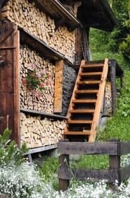 Switzerland, Canton of Bern, Bernese Oberland, Murren village, Wooden steres and flowers